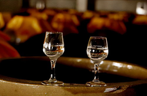 別錯(cuò)過(guò)！3款好喝不貴的平民糧食酒，遇到多買幾箱